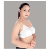 HAYA White Polyester Non Padded Womens Cami bra ( Pack of 1 ) - None