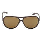 Brown Aviator Sunglasses for Men