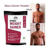 Intimify Kesar Pista Badam Mass Gainer ( Pack of 1 )