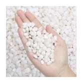 Happy Fins Decorative White Aquarium Pebbles/Stone 1 kg