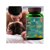 Shilajit Gold Capsules 60 Cap