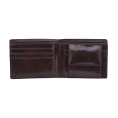 HAMT Leather Brown Casual Regular Wallet - Brown