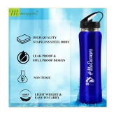 Manogyam Stainless Steel Blue 750 mL Sipper ( Pack of 1 ) - Blue