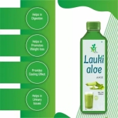 Mint Veda Lauki Aloe Vera Juice | Rejuvenates Skin and Hair | Natural Juice for Skin Care | No Added Sugar, 1 Liter Pack of 2