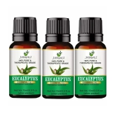 PURE Jangali ORGANICS Eucalyptus Oil PURE & Natural Essential Oil For Skin and Hair Therapy 45ML