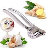 Shanaya Garlic Crusher Presser Garlic Press Multi-Function Manual Portable Garlic Crusher (Pack of 1)