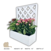 BARISH - Wall Mounted Planter - Single Square | Handcrafted with Rubberwood | Indoor Planter Frame with Stand 18 x 14 x 6 Inches