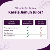 Sri Sri Tattva Karela Jamun Juice - Maintain Blood Sugar | Pancreatic Support, Improves Metabolism, Reduces Fatigue | 1L