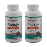 Way2Herbal Shilajit Capsule 120 no.s Pack of 2