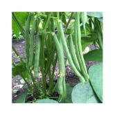 French Beans Seeds (pack of 50)