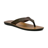 ASIAN Brown Mens Daily Slipper - None