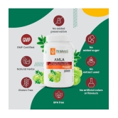 Krishnas Amla Powder, 100 g Pack Of 3