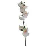 Artificial Orchids Flower Stem White