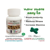 Ashwagandha IMMUNITY BOOSTER 60 Capsule 500 mg