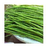 drumstick vegetable seeds 20 seeds