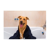 SOFTSPUN Dog Wellness Accessories ( 1 )