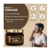 Nirvasa Shilajit Resin, Performance, Vigour and Vitality for men, enriched with Pure Shilajit, Vegan, Ayurvedic Classical Product (1 X 20g)