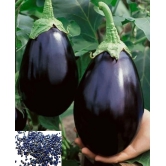 homeagro - Vegetable Seeds ( 50 )