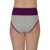 Madam Black,Purple PANTY Nylon Solid Womens Hipster ( Pack of 2 ) - None