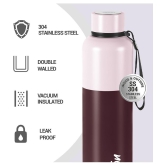 Milton Ancy 1000 Thermosteel Water Bottle, 1.05 Litre, Brown | 24 Hours Hot and Cold | Easy to Carry | Rust Proof | Tea | Coffee | Office| Gym | Home | Kitchen | Hiking | Trekking | Travel -