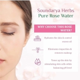 Soundarya Herbs Pure Rose Water - 100ml Cleanses, Hydrates & Moisturises Skin | Balances & Restores Skins pH Levels | For All Skin Types