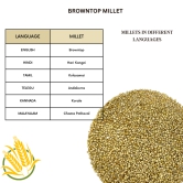 Native Pods Browntop Millet Unpolished 500gm- Korale/Choti Kangni - Natural & Organic - Gluten free and Wholesome Grain without Additives