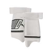 Puma Men's Future 1 Cricket Thigh Pad  (Colour - 03, Size - MENS) by Total Sporting And Fitness Solutions Pvt Ltd