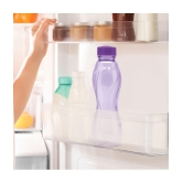 Milton - Purple Water Bottle 1000 mL ( Set of 6 ) - Purple