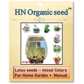 homeagro - Flower Seeds ( Lotus seeds -mixed colours 20 seeds )