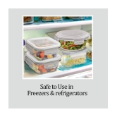 Treo by Milton All Fresh Square Glass Tiffin Containers With Insulated Jacket, 320 ml Each, Grey