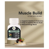 Vaddmaan MUSCLE BUILD - 12 Ayurvedic Herbs for Muscle Gain, Recovery, Mass and Improved Athletic body performance | 60 Capsules (Pack 1)