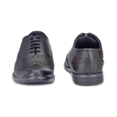 Leeport - Black Mens Formal Shoes - None