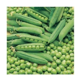 Pea seeds