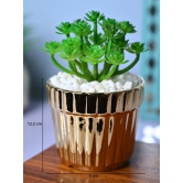 Golden Stripes - Artificial Plant with Glossy Ceramic Pot