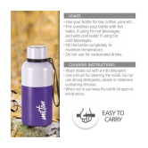 Milton Ancy 500 Thermosteel Water Bottle, 520 ml, Violet | 24 Hours Hot and Cold | Easy to Carry | Rust Proof | Tea | Coffee | Office| Gym | Home | Kitchen | Hiking | Trekking | Travel Bottl