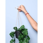 Green Hanging Planter - Cylindrical Shape