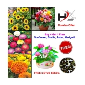 HL-COMBO-Sunflower, Dhalia, Aster, Marigold and FREE Lotus Seeds