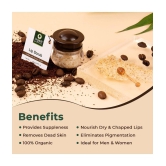 Organic Harvest Lip Scrub with Coffee Extracts, For Lightening & Brightening Dull Lips, Infused with Natural Products to Repair Dark and Damaged Lips - 8gm