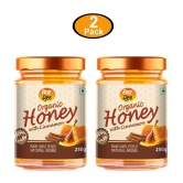 ANP BEE Honey Organic CinnmonHoney 250 g Pack of 2