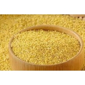 Foxtail Millets