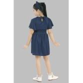 Pichkari - Navy Blue Rayon Girls Frock ( Pack of 1 ) - None