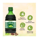 NUTROCOPIA Amla Juice - 400 ml | Rich Source of Vitamin C | Effective Antioxidants for Immunity boosting | Pure, Natural and 100% Ayurvedic Juice - Pack of 3