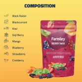 Farmley Trail Mix Dry Fruits 200g | Dried Berry Mix 200g | Protein Rich Seed Mix 200g | Total 600g | Mix Dry Fruit Snack Combo