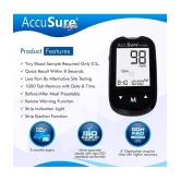 Accusure Simple Meter with 100 Test Strips