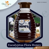 ONE BEE ORGANIC Honey | Eucalyptus Honey/Nilgiri Flora Honey/Nilgiri Nu Madh | Natural Flora Honey - 280 GM.