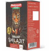 Baidyanath Shodhit Shilajit 50 Capsules | Premium Vitality | Ayurvedic Supplement for Men