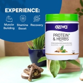 Oziva Protein & Herbs Men: 23G Whey, 5.5G BCAA, Ashwagandha, Chlorella, Musli for stamina & lean muscles. Certified Clean Chocolate 500G.-Oziva Protein & Herbs for Men: 23G Whey, 5.5G BCAA, Ashwa