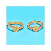 AanyaCentric Gold Toe Rings ( Pack of 2 ) - Gold