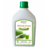 BHUMIJA LIFESCIENCES Plain Wheat Grass Juice Health Drink Liquid 1 l