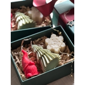 Merry and Bright Gift Box